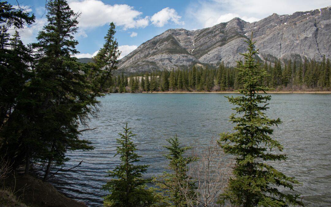LONG LAKE DRONE FILMING